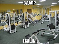 Сдал? Ебашь!