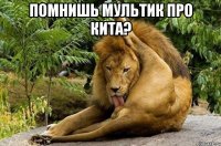 Помнишь мультик про кита? 