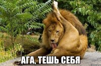  ага, тешь себя