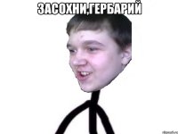 засохни,гербарий 