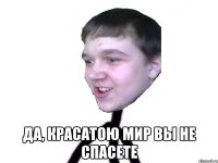  да, красатою мир вы не спасете