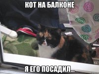 кот на балконе я его посадил...