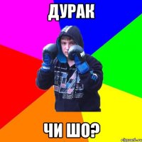 Дурак чи шо?