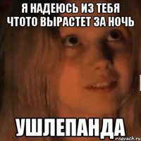 Я надеюсь из тебя чтото вырастет за ночь Ушлепанда