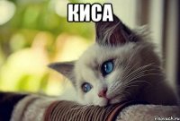 Киса 