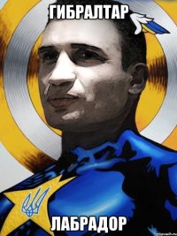 Гибралтар Лабрадор