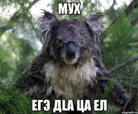 Мух Егэ дlа ца ел