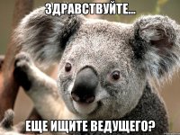 Здравствуйте... еще ищите ведущего?