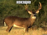 Конэщно 