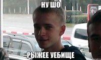 Ну шо рыжее уебище