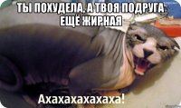 Ты похудела, а твоя подруга ещё жирная 
