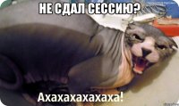 Не сдал Сессию? 