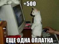 +500 Еще одна оплатка