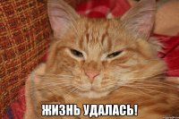  Жизнь удалась!