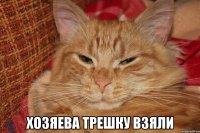  Хозяева трешку взяли