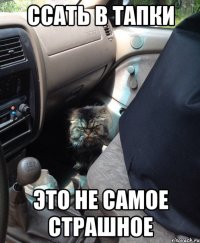 ссать в тапки это не самое страшное