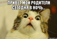 Привет,мои родители сегодня в ночь... 