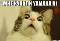Мне купили yamaha r1 
