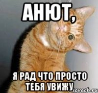 Анют, я рад что просто тебя увижу