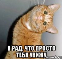  я рад, что просто тебя увижу