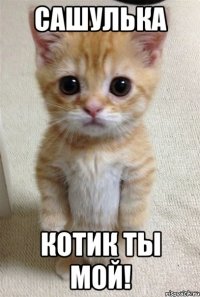 Сашулька Котик ты мой!