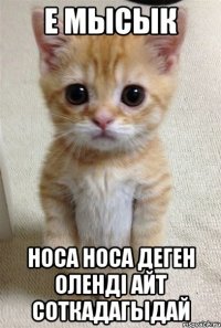 Е мысык Носа носа деген олендi айт соткадагыдай