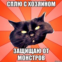 Сплю с хозяином защищаю от монстров