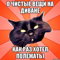 О чистые вещи на диване Как раз хотел полежать)