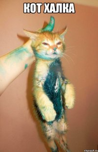кот Халка 