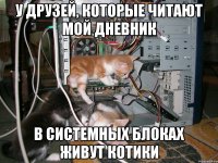 у друзей, которые читают мой дневник в системных блоках живут котики