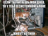 если ты читаешь мой днев, то у тебя в системном блоке живут котики
