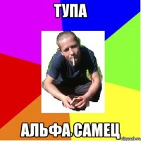 тупа альфа самец