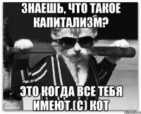 Знаешь, что такое капитализм? Это когда все тебя имеют.(c) Кот