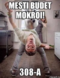 mesti budet mokroi! 308-A