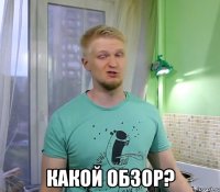  Какой обзор?