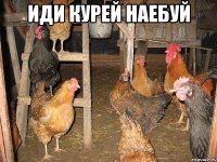 ИДИ КУРЕЙ НАЕБУЙ 