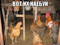 ВОТ ИХ НАЕБУЙ 