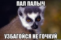 ПАЛ ПАЛЫЧ УЗБАГОЙСЯ НЕ ГОЧКУЙ