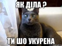 як діла ? ти шо укурена