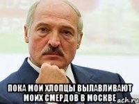 пока мои хлопцы вылавливают моих смердов в москве