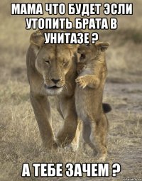мама что будет эсли утопить брата в унитазе ? а тебе зачем ?