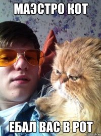 Маэстро кот Ебал вас в рот