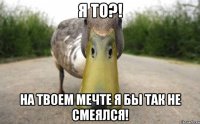 Я то?! На твоем мечте я бы так не смеялся!