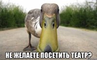  Не желаете посетить театр?