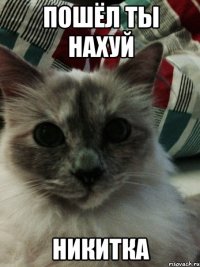 ПОШЁЛ ТЫ НАХУЙ НИКИТКА