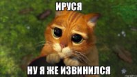 Ируся Ну я же извинился