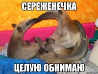 Сереженечка целую обнимаю