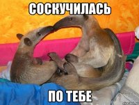 Соскучилась по тебе