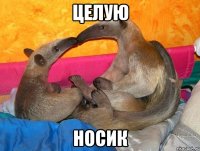 Целую носик