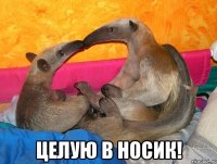  целую в носик!